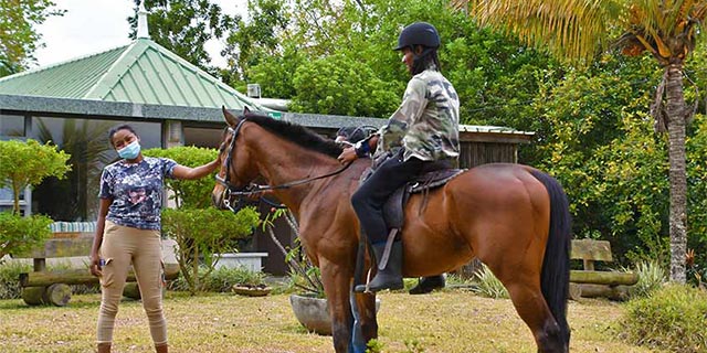 experience thrilling adventure horseback riding across stunning landscapes. perfect for beginners and seasoned riders alike, our guided tours offer unforgettable moments in nature.