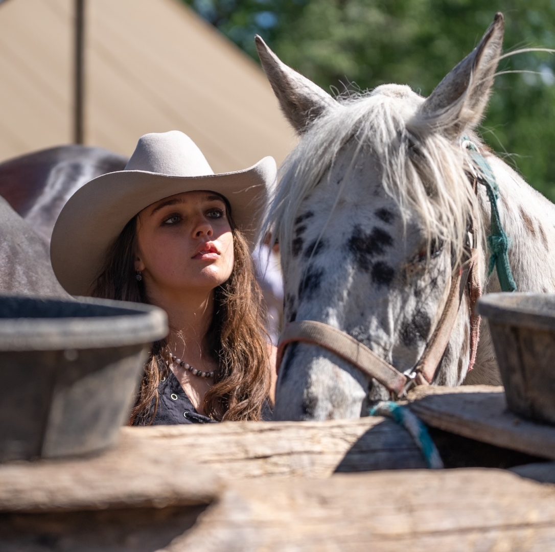 discover affordable horse vacations for unforgettable riding adventures. enjoy budget-friendly equestrian getaways, scenic trails, and relaxing stays perfect for horse lovers of all levels.