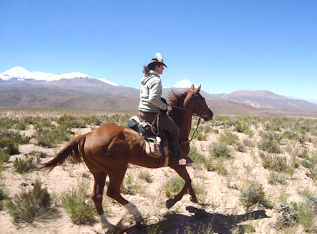 experience unforgettable andes riding holidays with scenic horseback adventures, expert guides, and authentic local culture. perfect for riders of all levels seeking exploration and adventure in the breathtaking andes mountains.