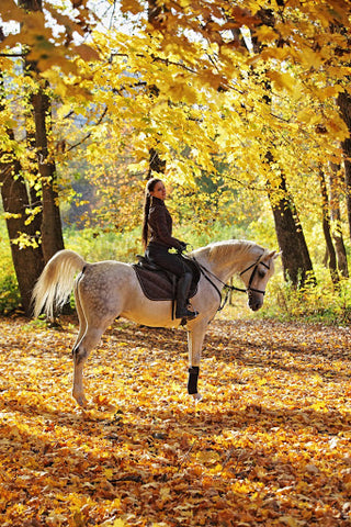 discover the best months for horse riding with our helpful guide. learn the ideal seasons, weather conditions, and tips for planning your perfect equestrian adventure.