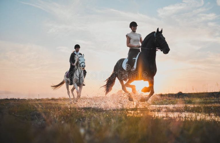 discover the unique experience of bonding with horses while traveling. explore helpful tips and inspiring stories to deepen your connection with these magnificent animals on your next adventure.