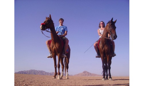 experience the adventure of desert horseback safaris. ride majestic horses across stunning dunes, discover unique landscapes, and connect with nature like never before. perfect for adventure seekers and nature lovers.