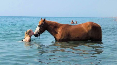 discover tips and ideas to enhance your horseback vacation, making your riding adventure more enjoyable, safe, and memorable. explore top destinations, expert advice, and unforgettable equestrian experiences.