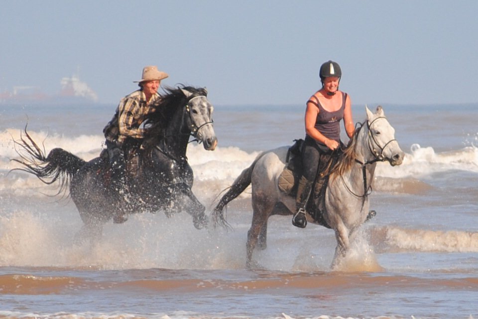 discover the best equestrian getaway countries around the world. explore top destinations for horseback riding vacations, adventure tours, and equine experiences suited for all levels of riders.