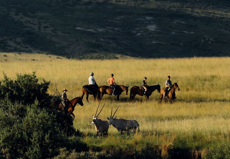 discover unforgettable equestrian getaways with scenic trails, luxury accommodations, and horseback riding adventures for all levels. plan your perfect horse-friendly vacation today.