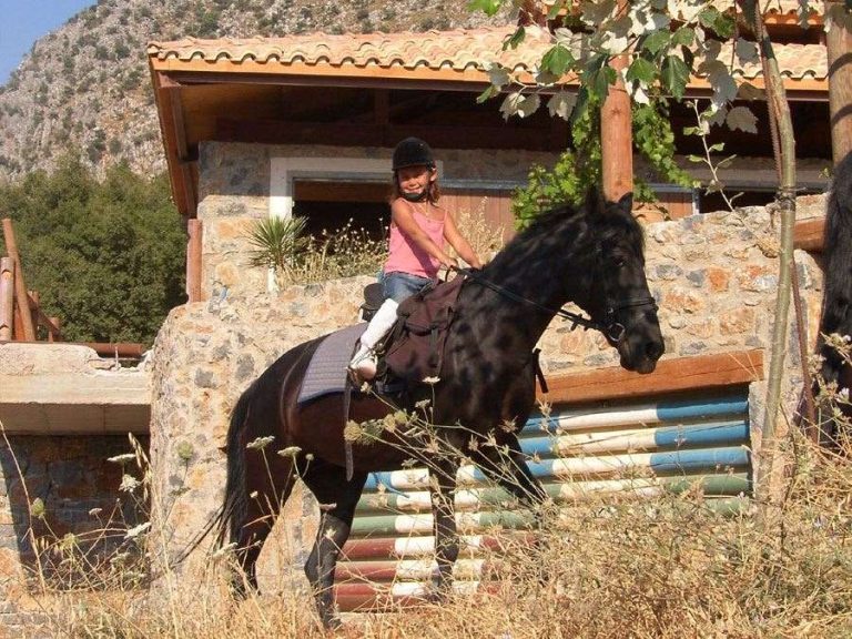 discover the best equestrian getaways for horse lovers. enjoy scenic rides, luxurious stays, and unforgettable horseback adventures at top destinations worldwide.