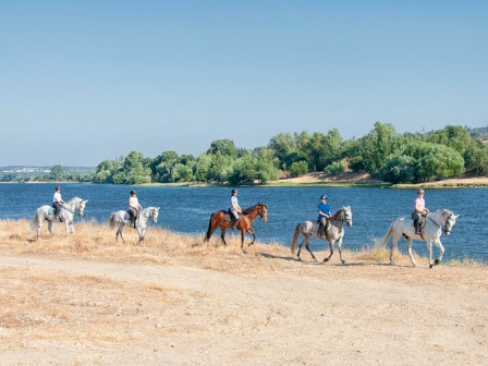 discover essential equestrian holiday tips for a safe and enjoyable horseback riding vacation. learn how to plan, pack, and make the most of your equestrian getaway.