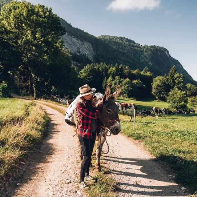 discover the best equestrian travel experiences for riders aged 50 and over. explore tailored horseback vacations, inspiring destinations, and riding tips designed for mature equestrians seeking adventure and comfort.