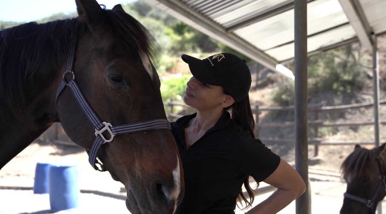 discover equine wellness retreats designed to rejuvenate body and mind. experience healing sessions, horse therapy, and holistic activities in serene natural settings for ultimate relaxation.