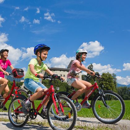 discover exciting family riding trips with our comprehensive guides, perfect for all ages and skill levels. enjoy memorable adventures together and create lasting memories on horseback.