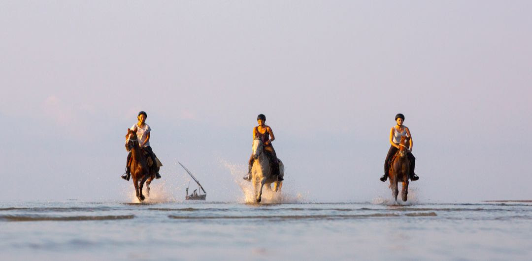 discover everything you need to know for your first horse riding holiday. find tips, beginner-friendly destinations, and advice to make your equestrian adventure safe, fun, and unforgettable.