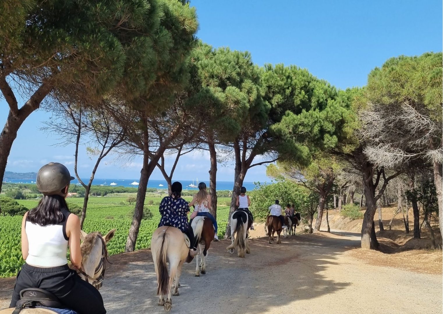 discover unforgettable adventures with group horseback travel. explore scenic trails, connect with fellow riders, and enjoy expertly guided equestrian tours for all skill levels. perfect for friends, families, and horse lovers seeking unique group experiences.