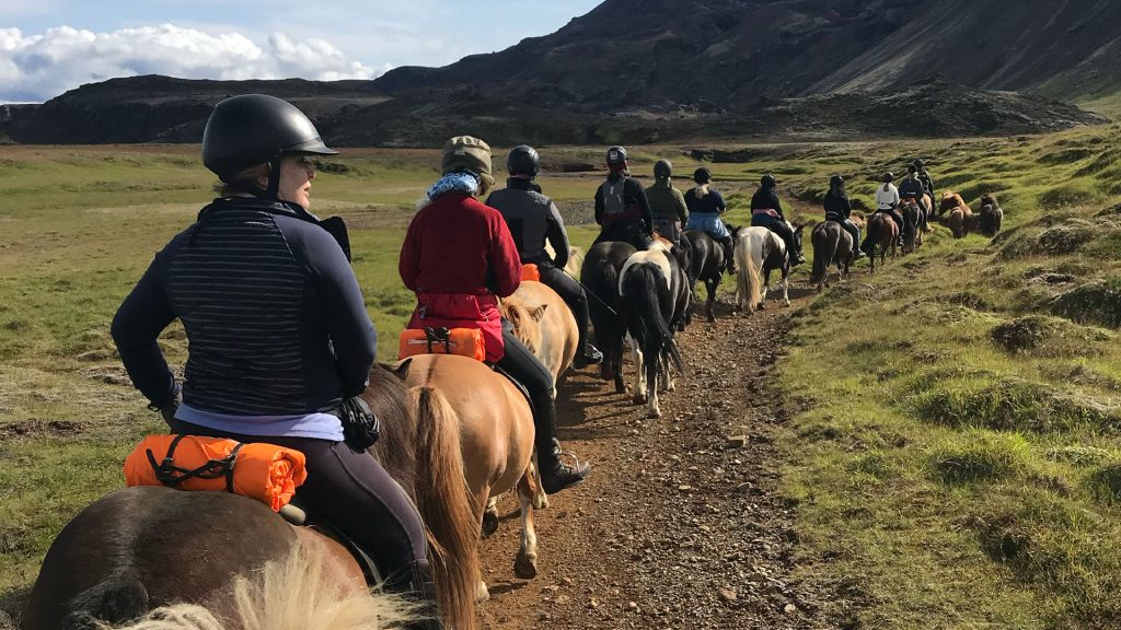 discover incredible adventures with group horseback travel. explore breathtaking trails, bond with fellow riders, and experience unforgettable journeys on horseback. join a guided group today!