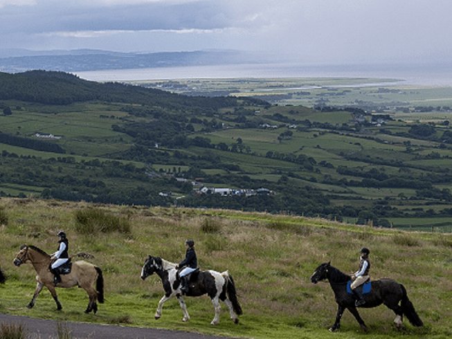 discover the key differences between group and solo equestrian tours. explore the benefits, challenges, and unique experiences each option offers to help you choose the perfect horseback riding adventure for your preferences.
