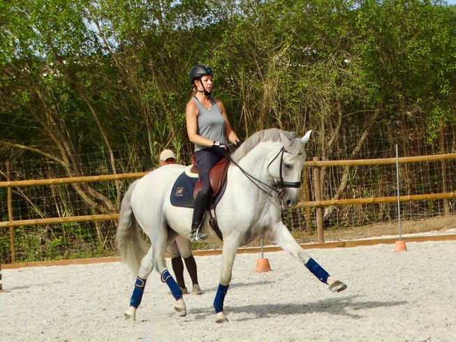 discover the key differences between group and solo equestrian tours. learn about the benefits, unique experiences, and how to choose the best option for your horseback riding adventure.