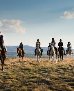 discover the past with our historical horse tours. ride through scenic landscapes while learning about local history, famous events, and legendary figures. perfect for history enthusiasts and adventure seekers alike.
