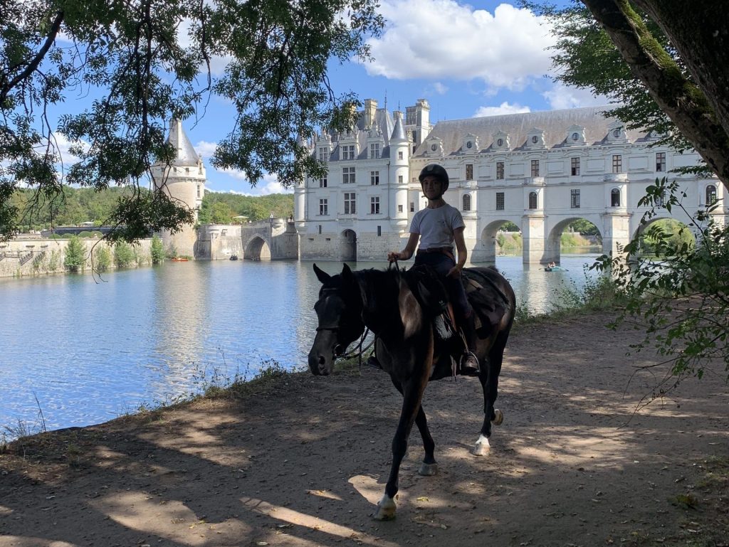 discover unforgettable historical horse tours that take you through scenic landscapes and fascinating landmarks while learning about local history and culture on horseback.