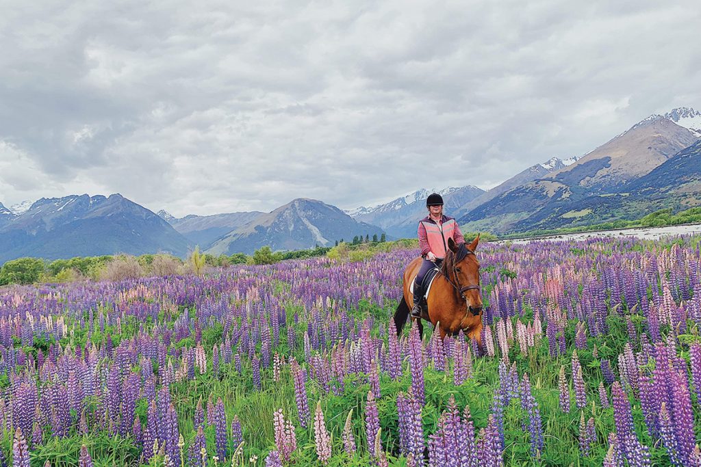 discover the best travel destinations around the world for horse lovers. explore scenic riding trails, equestrian events, and unique horse-related experiences perfect for every equine enthusiast.