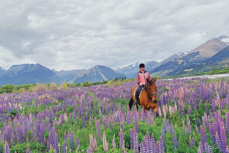 discover the best travel destinations around the world for horse lovers. explore scenic riding trails, equestrian events, and unique horse-related experiences perfect for every equine enthusiast.