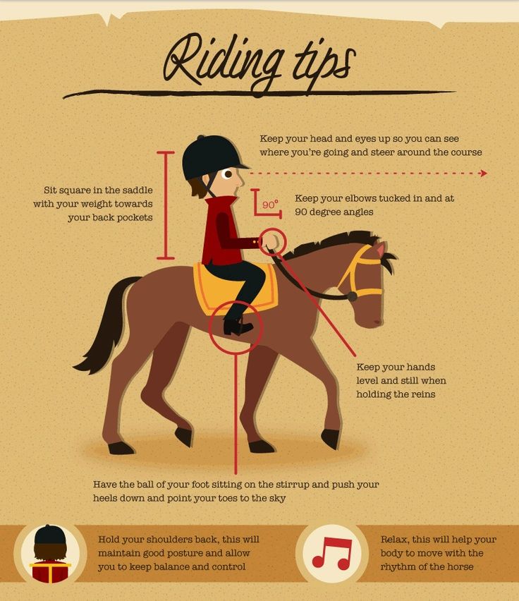 discover essential horse riding safety tips to ensure a secure and enjoyable experience. learn how to stay safe around horses, from proper gear to riding techniques, whether you’re a beginner or experienced rider.
