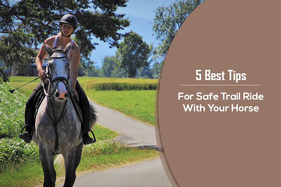 discover essential horse riding safety tips to ensure a secure and enjoyable experience. learn how to protect yourself and your horse with practical advice for riders of all levels.