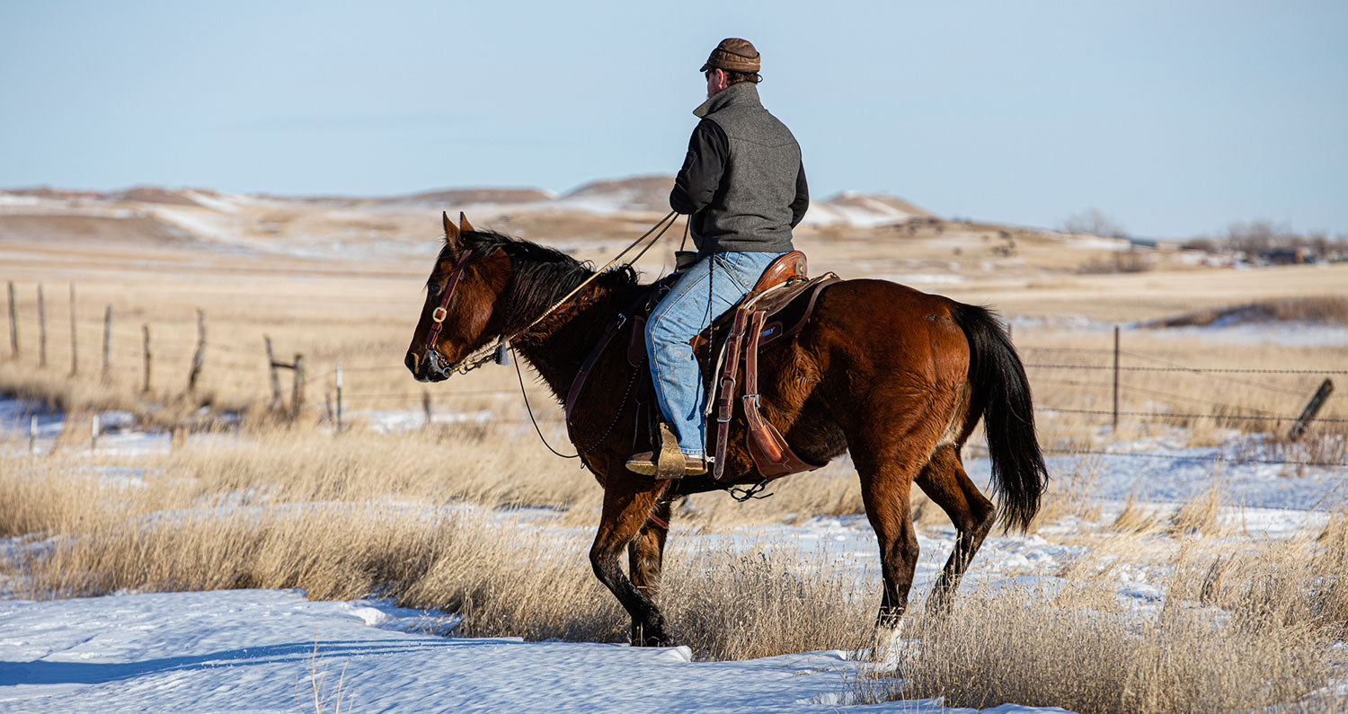 discover essential horse riding tips for beginners and experienced riders. improve your skills, boost your confidence, and enjoy a safe and enjoyable horseback riding experience.