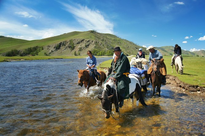 discover unforgettable horse riding tours for all skill levels. explore scenic trails, experience guided adventures, and immerse yourself in nature on horseback. book your perfect equestrian getaway today!