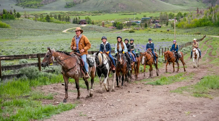 embark on unforgettable horseback adventures and explore breathtaking trails, scenic landscapes, and thrilling riding experiences. perfect for riders of all levels seeking excitement and connection with nature.