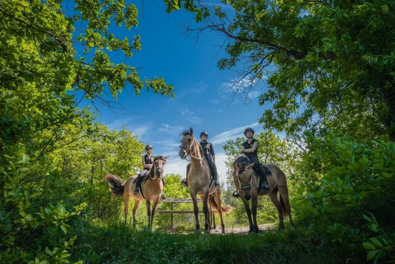 discover the beauty of horseback cultural exploration: ride through stunning landscapes, immerse in local traditions, and experience authentic cultural adventures on horseback.