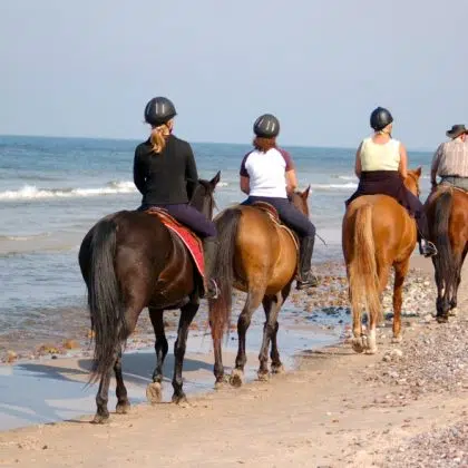 discover unforgettable horseback excursions and explore scenic trails, beautiful landscapes, and unique adventures guided by expert riders. perfect for all skill levels.