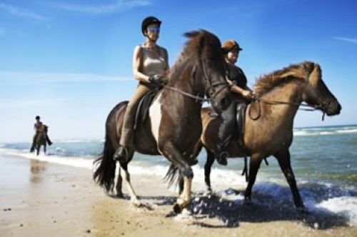 discover unforgettable horseback holidays with scenic rides, expert guides, and cozy accommodations. perfect for adventure seekers and horse lovers. book your equestrian getaway today!