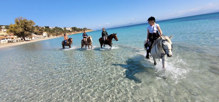 experience the adventure of a horseback holiday! discover breathtaking landscapes, relaxing rides, and unforgettable moments with our unique equestrian vacation packages. perfect for riders of all levels.