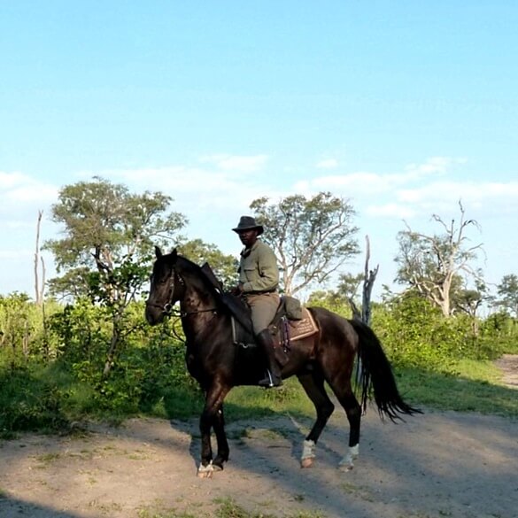 discover everything you need to know about planning the ultimate horseback safari, including top destinations, expert tips, essential packing lists, and what to expect on your wild adventure.