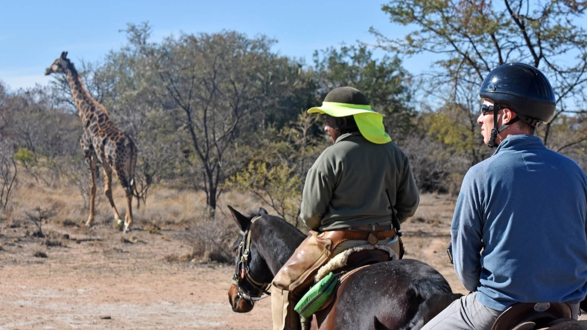experience the thrill of horseback safaris in africa. discover unique wildlife, breathtaking landscapes, and unforgettable adventures on guided horse riding tours through africa's most scenic national parks and reserves.