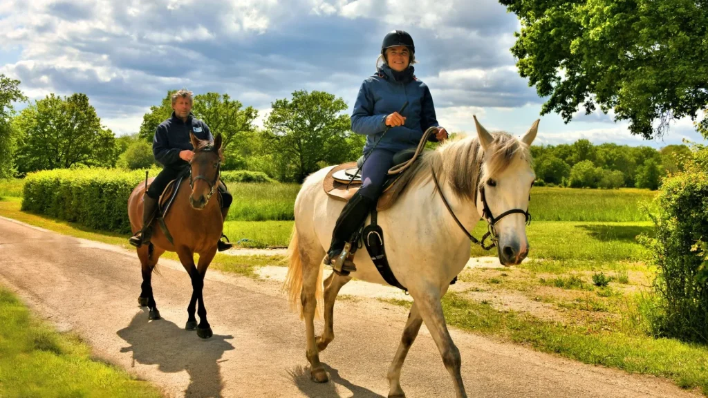 discover unforgettable horseback tours with breathtaking views and expert guides. explore nature, trails, and unique landscapes on horseback for all skill levels.