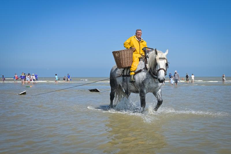 experience unforgettable horseback adventures through unesco world heritage sites. explore breathtaking landscapes, rich history, and cultural wonders on guided horseback trips tailored for all levels.