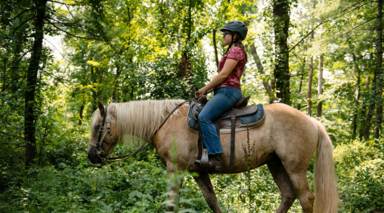 discover answers to common questions about horseback vacation experiences. find expert tips on planning, packing, riding safety, and making the most of your equestrian adventure.