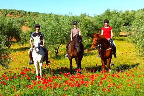discover answers to common questions about horseback vacations. find information on what to pack, riding experience required, safety tips, and how to choose the perfect horse riding holiday.