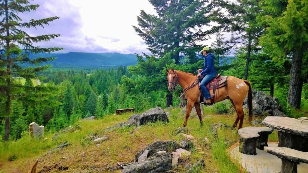 discover essential horseback vacation photography tips to capture stunning equestrian moments and breathtaking landscapes. perfect guide for travelers and photography enthusiasts seeking memorable horseback adventure photos.