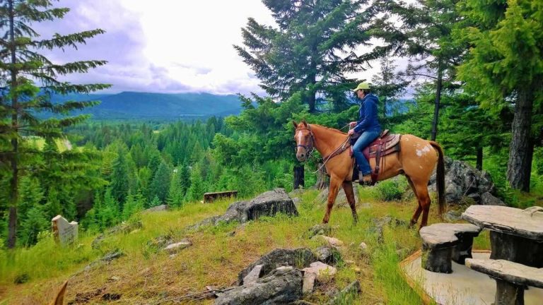 discover essential horseback vacation photography tips to capture stunning equestrian moments and breathtaking landscapes. perfect guide for travelers and photography enthusiasts seeking memorable horseback adventure photos.