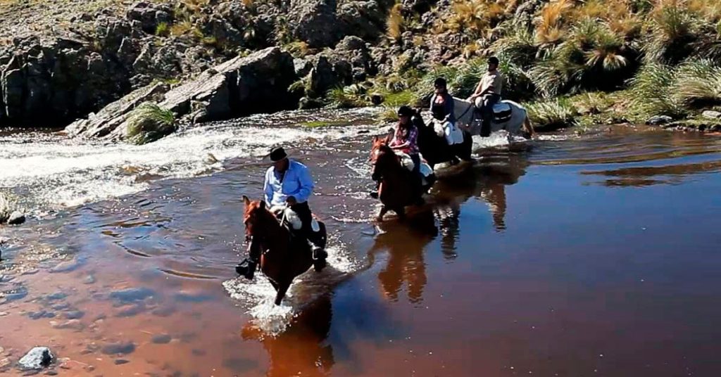 experience unforgettable horseback vacations designed for nature lovers. explore scenic trails and breathtaking landscapes while riding with expert guides. book your equestrian adventure today!