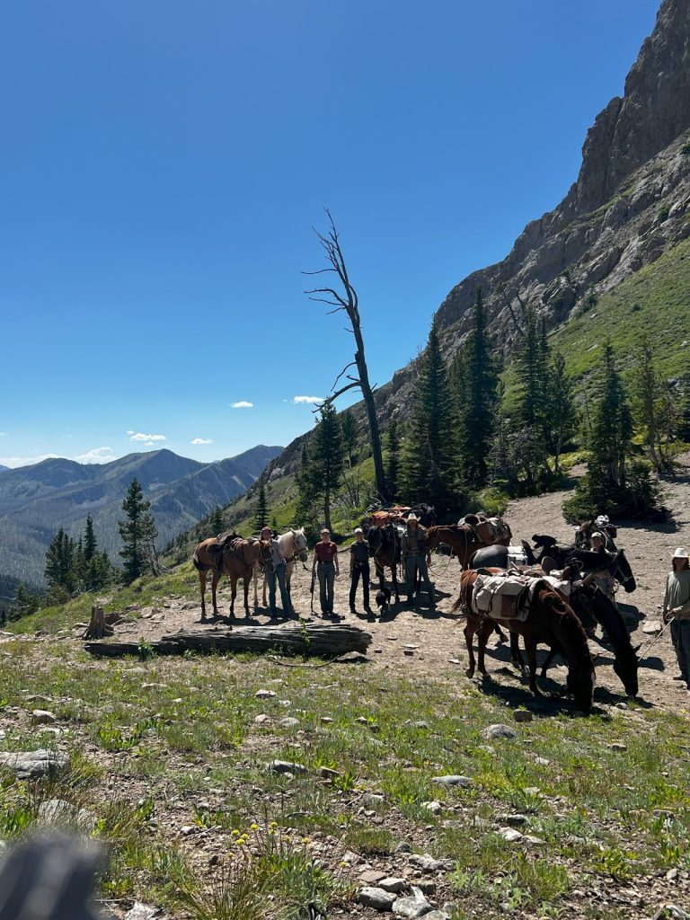 explore the breathtaking canadian wilderness on horseback. discover scenic trails, wildlife, and unforgettable adventures with expert-guided horseback riding tours in canada.