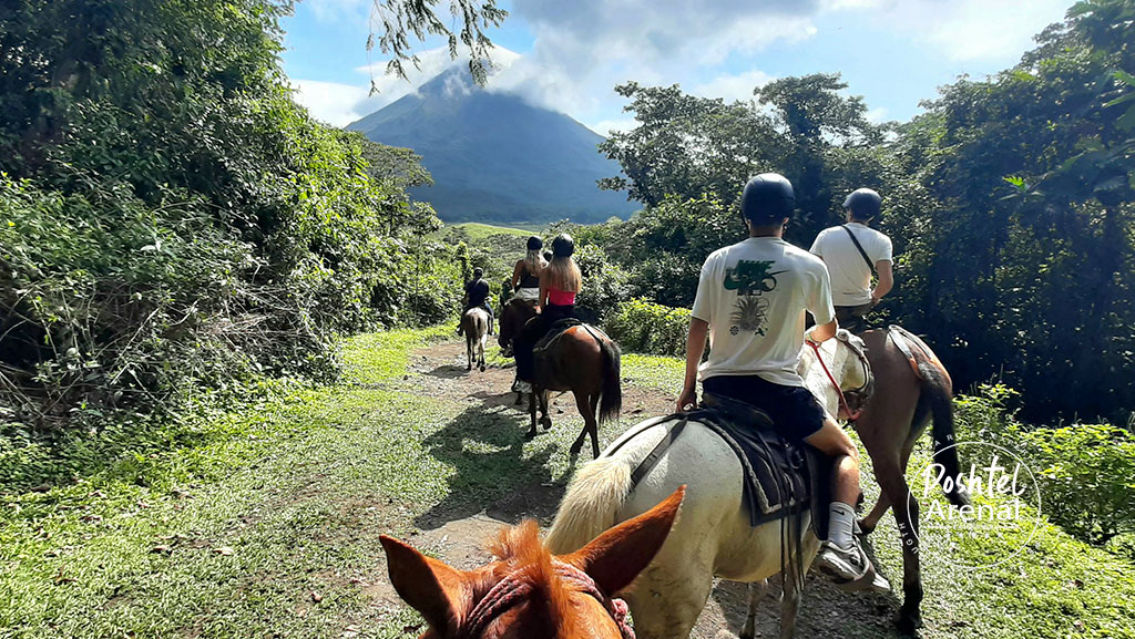 experience the beauty of wildlife up close on an unforgettable horseback riding adventure. discover nature, spot wild animals, and enjoy scenic trails in an eco-friendly way.