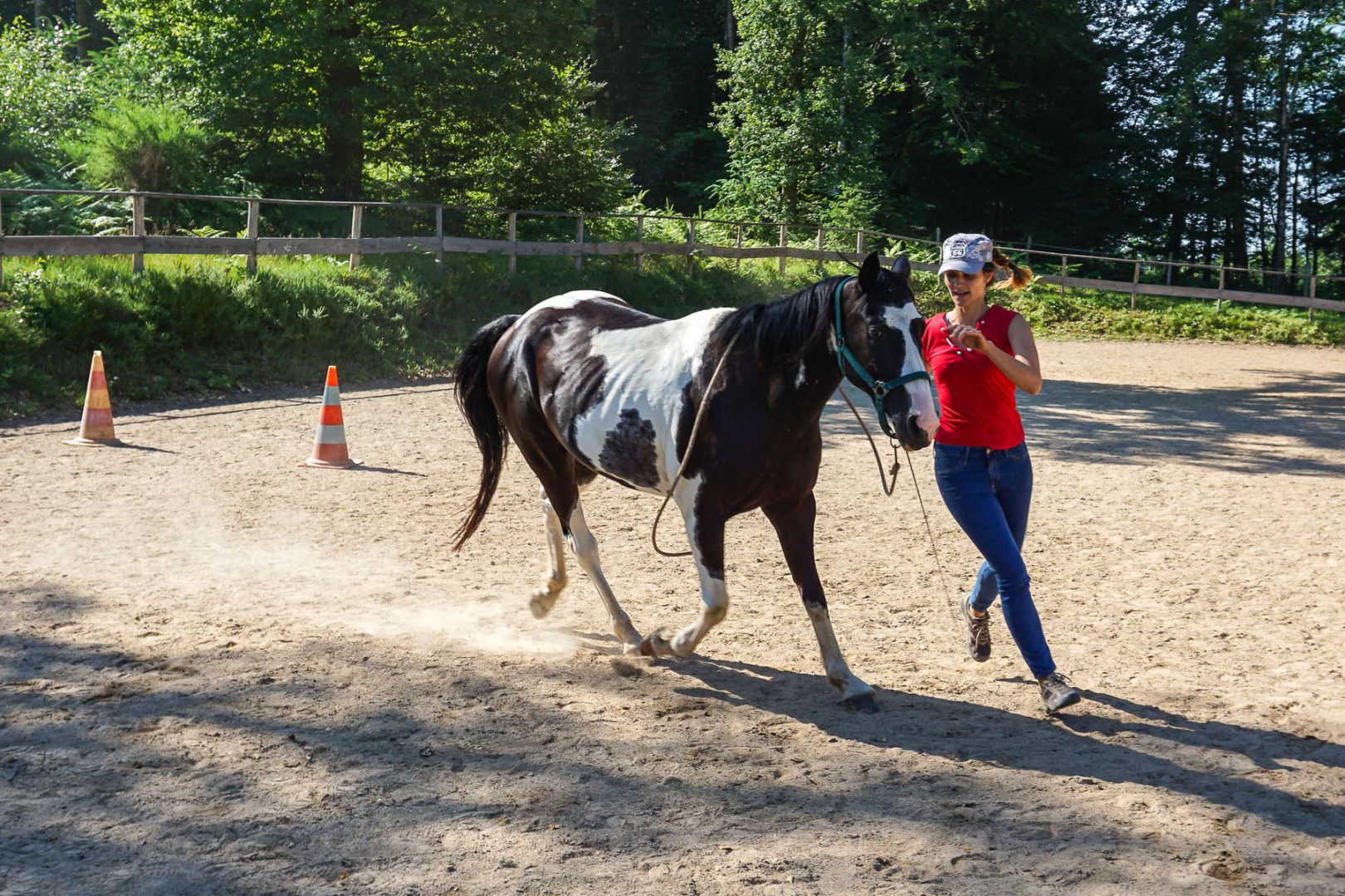 discover top horsemanship courses abroad! improve your riding skills, learn from expert trainers, and experience equestrian adventures in stunning international locations. enroll now to elevate your horsemanship journey.