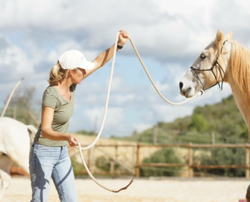 discover top horsemanship courses abroad designed to enhance your riding skills and equestrian knowledge. explore unforgettable international experiences and professional training for all levels.