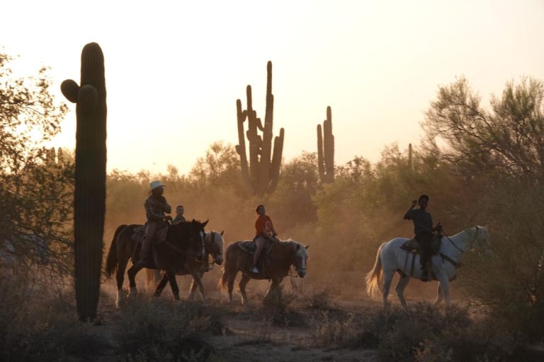 discover the most instagrammable horseback experiences at breathtaking destinations. capture unforgettable moments and scenic rides perfect for your social feed. saddle up for adventure and stunning photo ops!