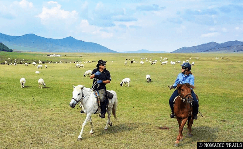 discover essential tips for choosing and packing horseback riding gear for international travel. ensure a safe, comfortable, and hassle-free equestrian adventure abroad with our expert advice.