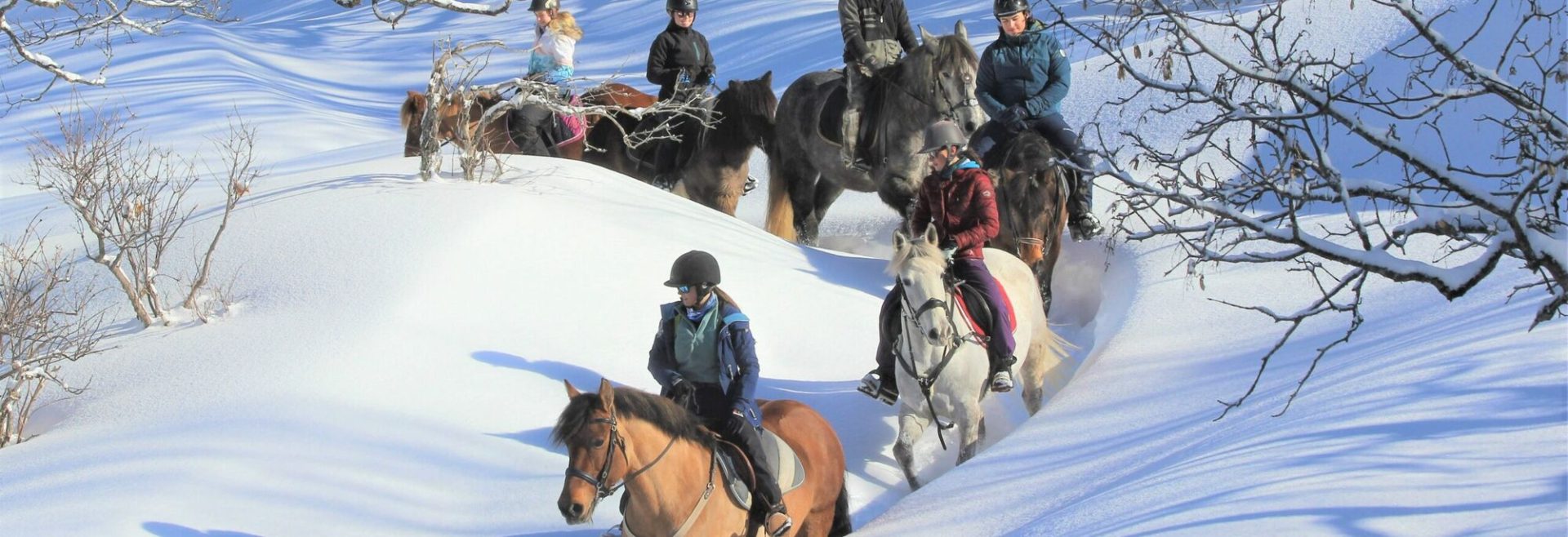 discover exciting last-minute horse riding experiences near you. book now for a spontaneous adventure and enjoy the thrill of riding at breathtaking locations, even on short notice.
