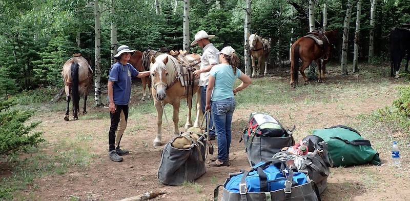 discover essential tips and preparation steps for a successful multi-day horse trek. learn what to pack, how to train, and ensure both you and your horse are ready for an unforgettable adventure.