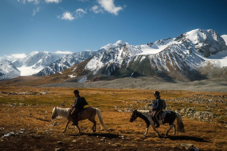 learn how to prepare for a multi-day horse trek with essential tips on gear, fitness, safety, and planning, ensuring a comfortable and enjoyable equestrian adventure.
